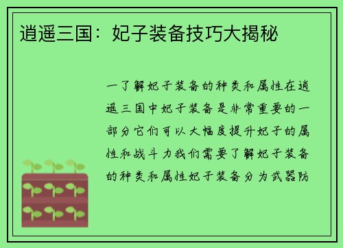 逍遥三国：妃子装备技巧大揭秘